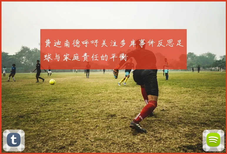 费迪南德呼吁关注多库事件反思足球与家庭责任的平衡